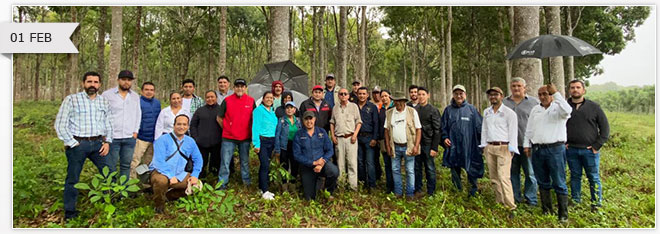 Participación de la Máxima Casa de Estudios de Las Choapas en la Primera Jornada por las Plantaciones Forestales llevada a cabo en el Estado de Tabasco.